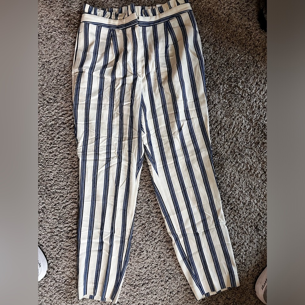 Express Striped Pants